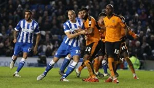 Images Dated 1st January 2016: Brighton and Hove Albion vs. Wolverhampton Wanderers: Sky Bet Championship Showdown at American
