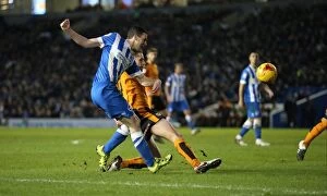 Images Dated 1st January 2016: Brighton and Hove Albion vs. Wolverhampton Wanderers: A Championship Battle (01/01/2016)