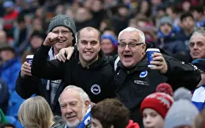 Brighton and Hove Albion vs. Wolverhampton Wanderers: A Championship Battle (01.01.2016)