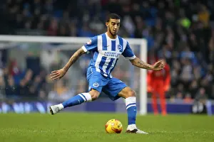 Brighton and Hove Albion vs. Wolverhampton Wanderers: A Championship Showdown (01/01/2016)