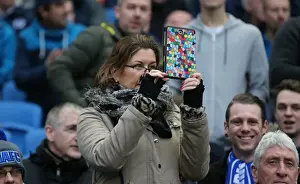Brighton and Hove Albion vs. Wolverhampton Wanderers: A Championship Showdown (01/01/2016)