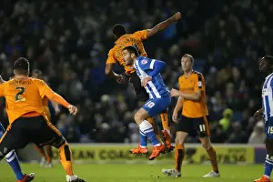 Brighton and Hove Albion vs. Wolverhampton Wanderers: A Championship Showdown (01/01/2016)