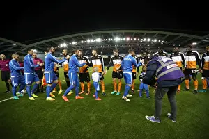 Brighton & Hove Albion vs. Wolverhampton Wanderers: A Championship Showdown (19th October 2016)