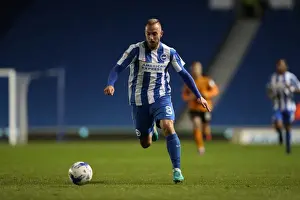 Brighton and Hove Albion vs. Wolverhampton Wanderers: A Championship Showdown (October 19, 2016)