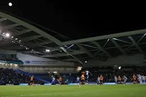 Brighton and Hove Albion vs. Wolverhampton Wanderers: A Championship Showdown (October 19, 2016)