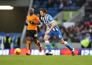 Brighton and Hove Albion vs. Wolverhampton Wanderers: A Fierce Championship Clash (01/01/2016)
