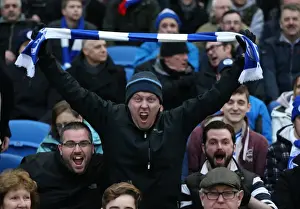 Brighton and Hove Albion vs. Wolverhampton Wanderers: A Fierce Championship Clash (01/01/2016)