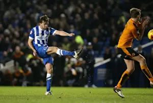 Brighton and Hove Albion vs. Wolverhampton Wanderers: A Fierce Championship Clash (01/01/2016)