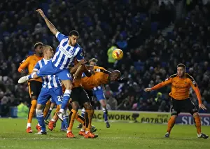 Brighton and Hove Albion vs. Wolverhampton Wanderers: A Fierce Championship Clash (01/01/2016)