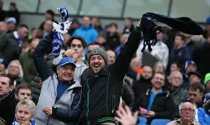 Brighton and Hove Albion vs. Wolverhampton Wanderers: A Fierce Championship Clash (01.01.2016)