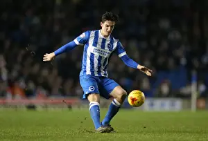 Brighton and Hove Albion vs. Wolverhampton Wanderers: A Fierce Championship Clash (01.01.2016)