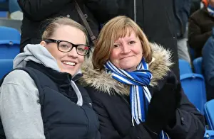 Brighton and Hove Albion vs. Wolverhampton Wanderers: A Seafront Showdown (14 March 2015)