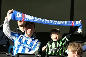 Wolves - 10-11-2012 Prints: Brighton & Hove Albion vs. Wolves: 2012-13 Away Game