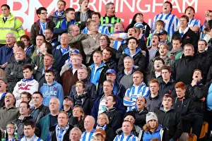 Wolves - 10-11-2012 Prints: Brighton & Hove Albion vs. Wolves: 2012-13 Away Game