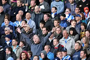 Wolves - 10-11-2012 Prints: Brighton & Hove Albion vs. Wolves: 2012-13 Away Game