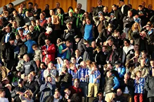 Wolves - 10-11-2012 Prints: Brighton & Hove Albion vs. Wolves: 2012-13 Away Game