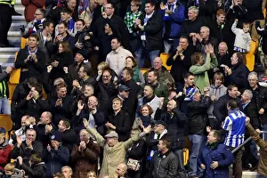 Brighton & Hove Albion vs. Wolves: 2012-13 Away Game