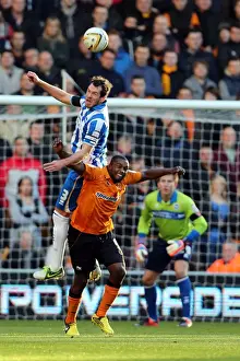 Brighton & Hove Albion vs. Wolves: 2012-13 Away Game