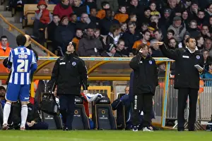 Wolves - 10-11-2012 Prints: Brighton & Hove Albion vs. Wolves: 2012-13 Away Game