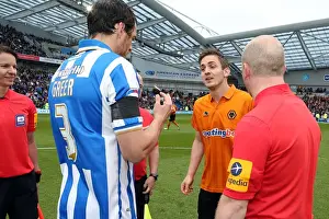 Brighton & Hove Albion vs. Wolves: 2012-13 Home Game