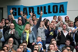 Brighton & Hove Albion vs. Wolves: 2012-13 Home Game