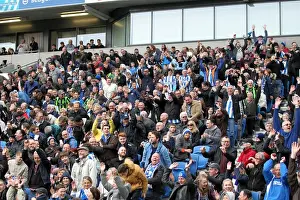 Brighton & Hove Albion vs. Wolves: 2012-13 Home Game