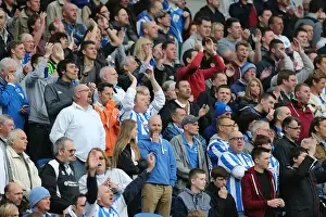 Wolves - 04-05-2013 Prints: Brighton & Hove Albion vs. Wolves: 2012-13 Home Game