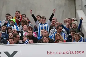 Wolves - 04-05-2013 Prints: Brighton & Hove Albion vs. Wolves: 2012-13 Home Game