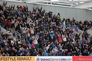 Wolves - 04-05-2013 Prints: Brighton & Hove Albion vs. Wolves: 2012-13 Home Game