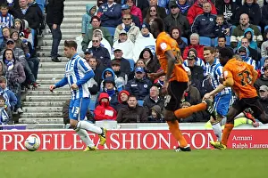 Wolves - 04-05-2013 Prints: Brighton & Hove Albion vs. Wolves: 2012-13 Home Game