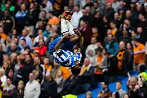 Wolves - 04-05-2013 Prints: Brighton & Hove Albion vs. Wolves: 2012-13 Home Game