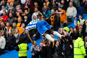 Wolves - 04-05-2013 Prints: Brighton & Hove Albion vs. Wolves (2012-13 Home Game)
