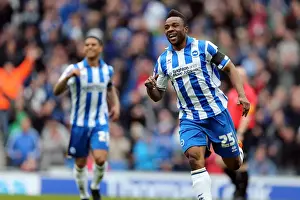 Wolves - 04-05-2013 Prints: Brighton & Hove Albion vs. Wolves: 2012-13 Home Game