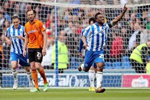Wolves - 04-05-2013 Prints: Brighton & Hove Albion vs. Wolves: 2012-13 Home Game