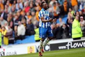 Wolves - 04-05-2013 Prints: Brighton & Hove Albion vs. Wolves: 2012-13 Home Game