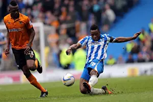 Wolves - 04-05-2013 Prints: Brighton & Hove Albion vs. Wolves: 2012-13 Home Game