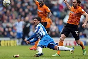 Wolves - 04-05-2013 Prints: Brighton & Hove Albion vs. Wolves: 2012-13 Home Game