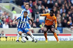 Brighton & Hove Albion vs. Wolves: 2012-13 Home Game