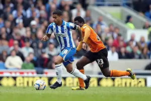 Wolves - 04-05-2013 Prints: Brighton & Hove Albion vs. Wolves: 2012-13 Home Game