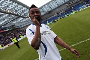 Wolves - 04-05-2013 Prints: Brighton & Hove Albion vs. Wolves: 2012-13 Home Game