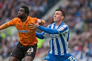 Wolves - 04-05-2013 Prints: Brighton & Hove Albion vs. Wolves: 2012-13 Home Game