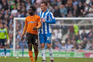 Wolves - 04-05-2013 Prints: Brighton & Hove Albion vs. Wolves: 2012-13 Home Game