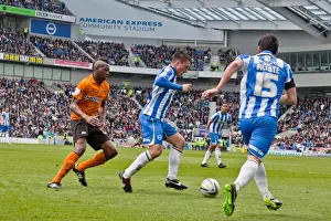 Wolves - 04-05-2013 Prints: Brighton & Hove Albion vs. Wolves: 2012-13 Home Game