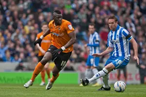 Brighton & Hove Albion vs. Wolves: 2012-13 Home Game