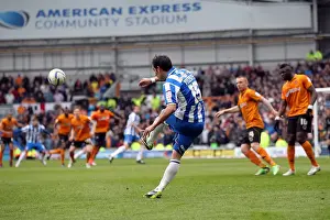 Wolves - 04-05-2013 Prints: Brighton & Hove Albion vs. Wolves: 2012-13 Home Game