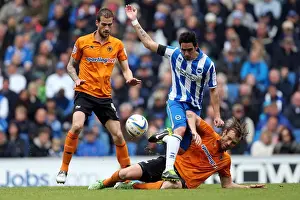 Wolves - 04-05-2013 Prints: Brighton & Hove Albion vs. Wolves: 2012-13 Home Game