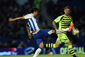 Brighton & Hove Albion vs. Yeovil Town: 25 April 2014 (Season 2013-14 Home Game)