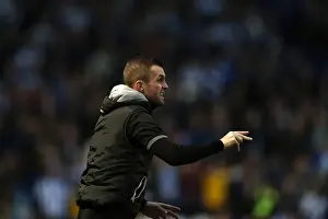 Brighton & Hove Albion vs. Yeovil Town: 25 April 2014 (Season 2013-14 Home Game)