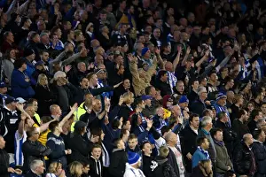 Brighton & Hove Albion vs. Yeovil Town: 25 April 2014 (Season 2013-14 Home Game)