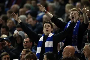 Brighton & Hove Albion vs. Yeovil Town: 25 April 2014 (Season 2013-14 Home Game)